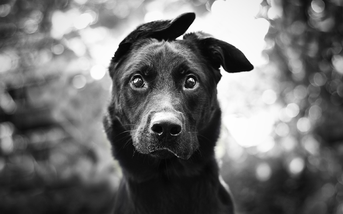 KK8App Lottery – Win Big with Online Lottery Games